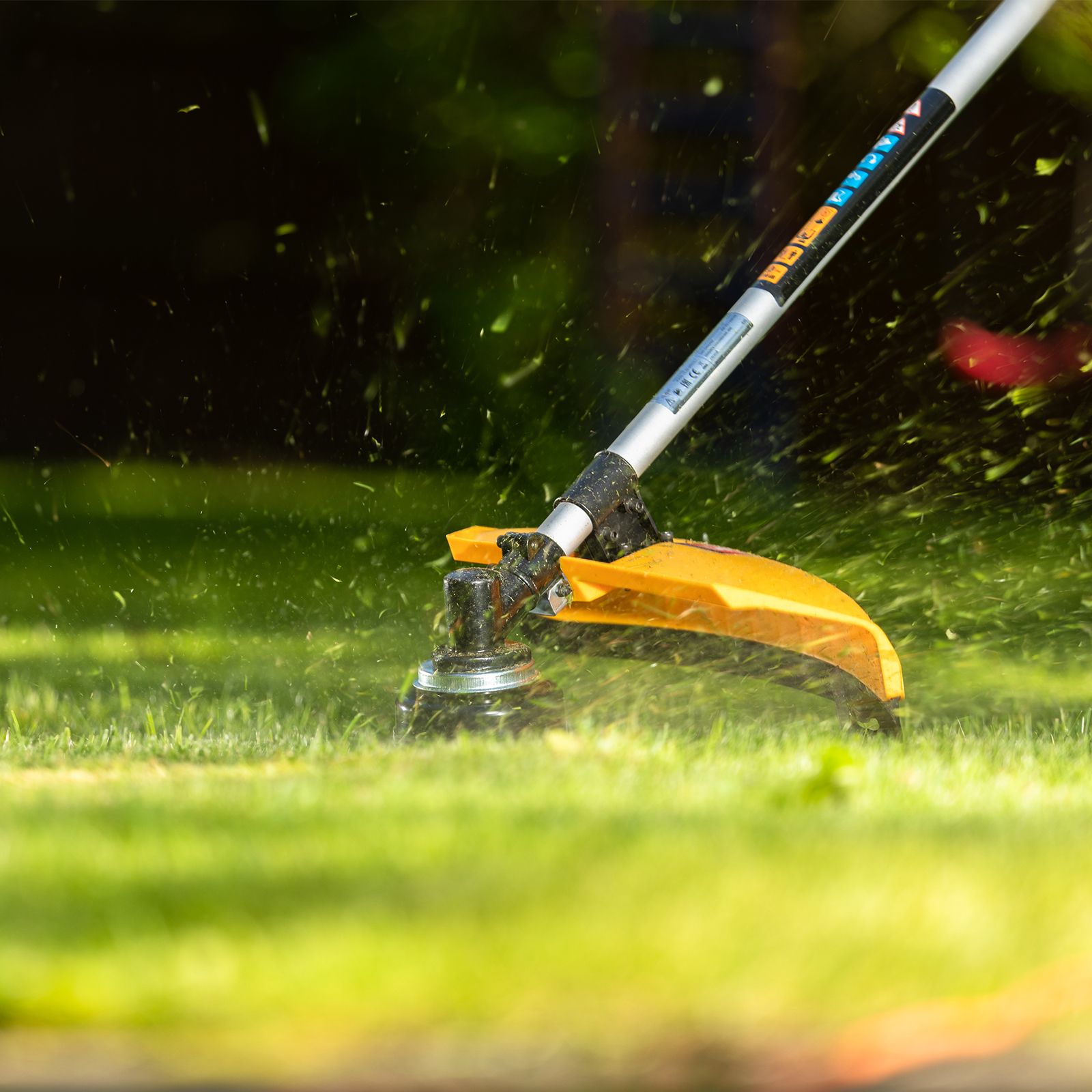 Miniatura produktu 19