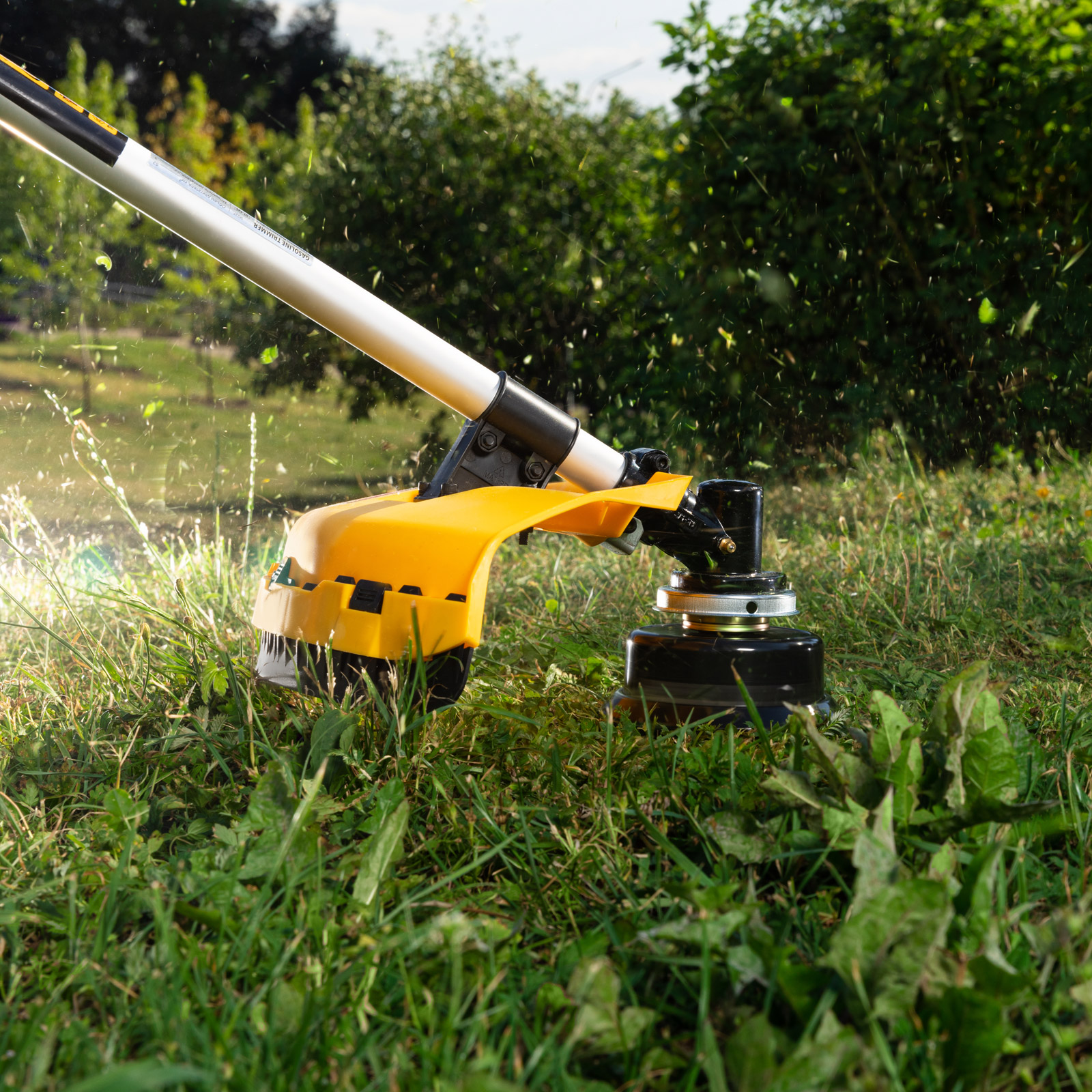 Miniatura produktu 24